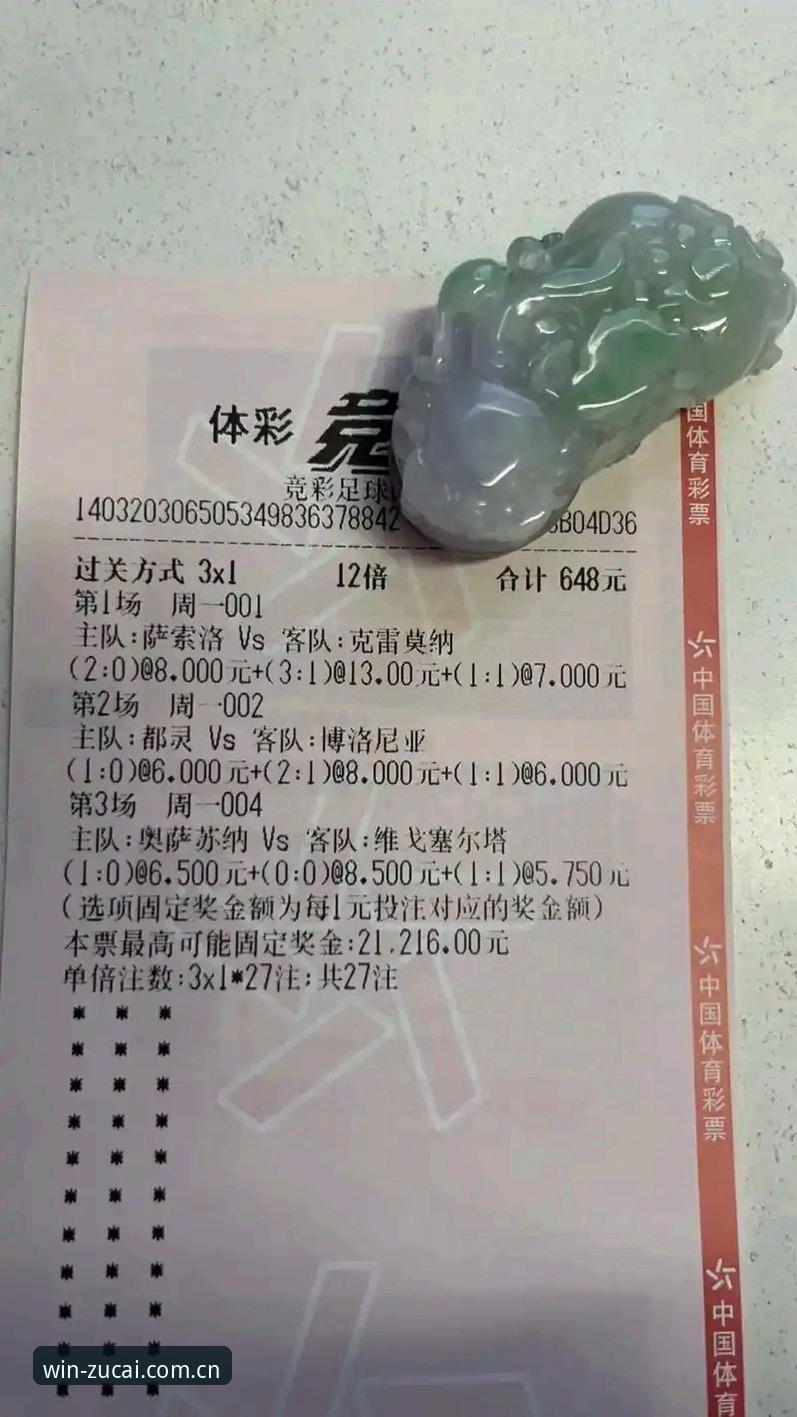中国竞彩网官网首页安装失败最新动态：v2.2.0版本用户反馈与解决方案深度解析