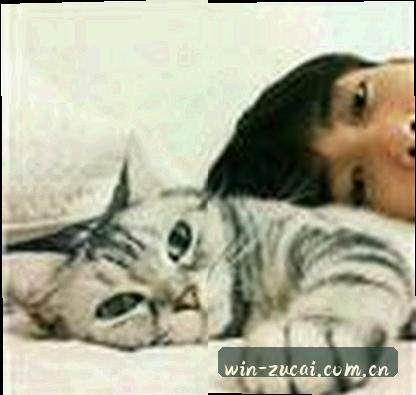 王磊